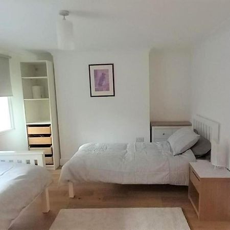 2 Bedroom Victorian Garden Flat ลอนดอน ภายนอก รูปภาพ