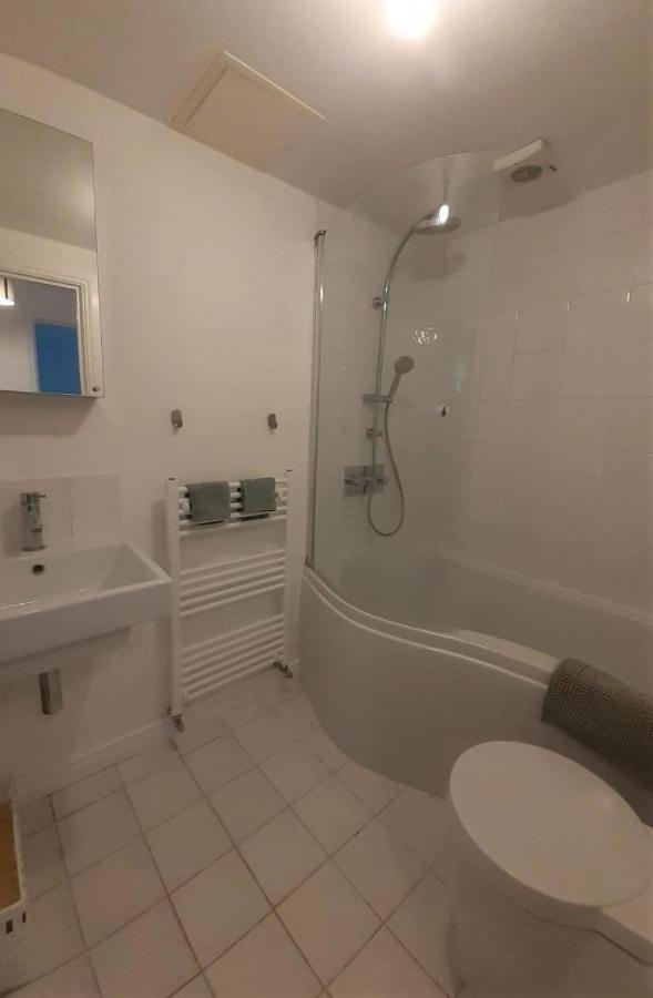 2 Bedroom Victorian Garden Flat ลอนดอน ภายนอก รูปภาพ