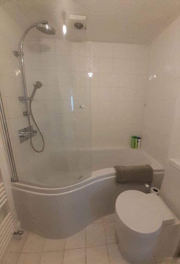 2 Bedroom Victorian Garden Flat ลอนดอน ภายนอก รูปภาพ